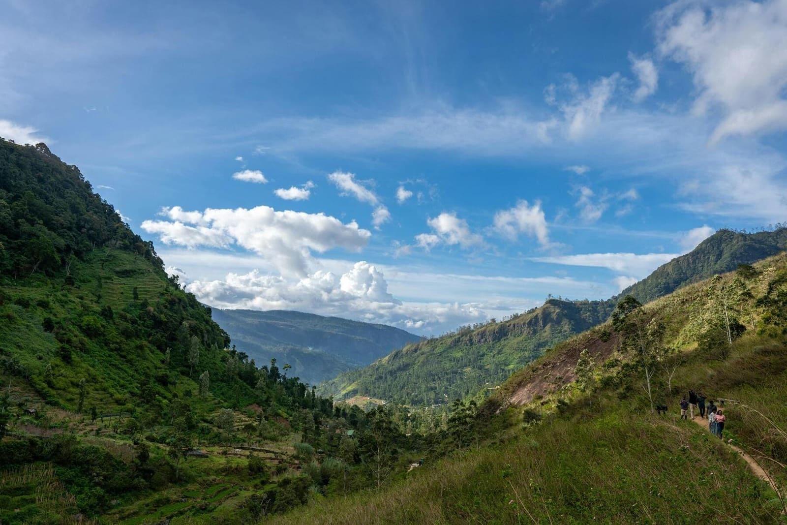 Horton Plains National Park 1
